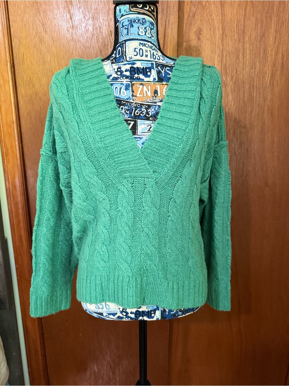 American Eagle Outfitters Green Chunky Knit Hooded V-Neck Sweater